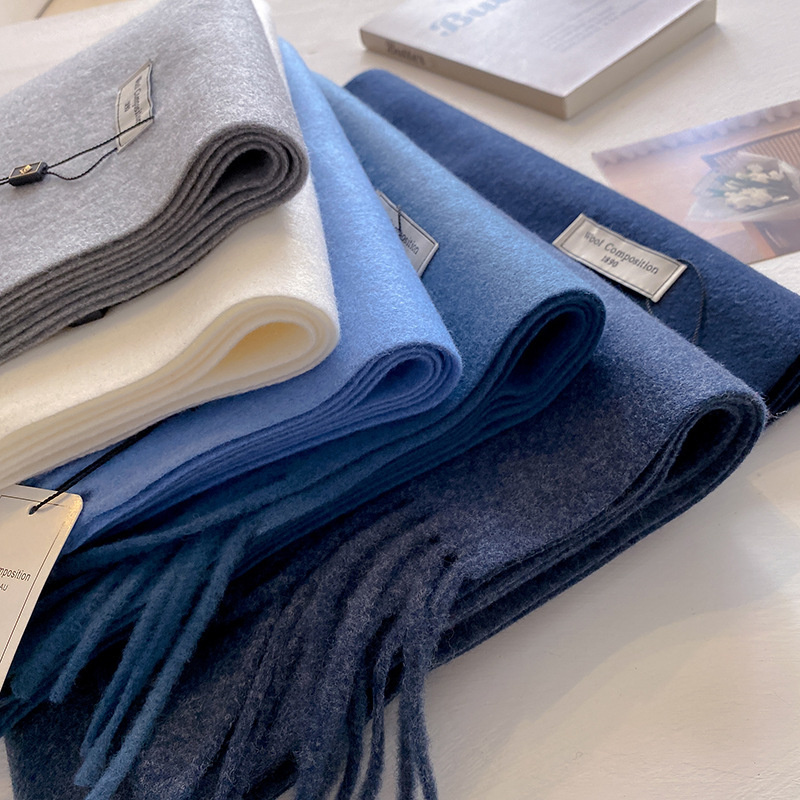 2024 여성용 겨울 양모 스카프 긴 따뜻한 캐시미어  - Cashmere Scarf Wrap 리뷰 및 가격